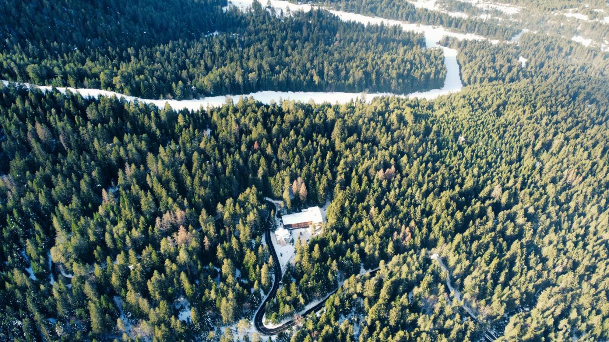 Ski Hotel Katerina Bansko Zewnętrze zdjęcie