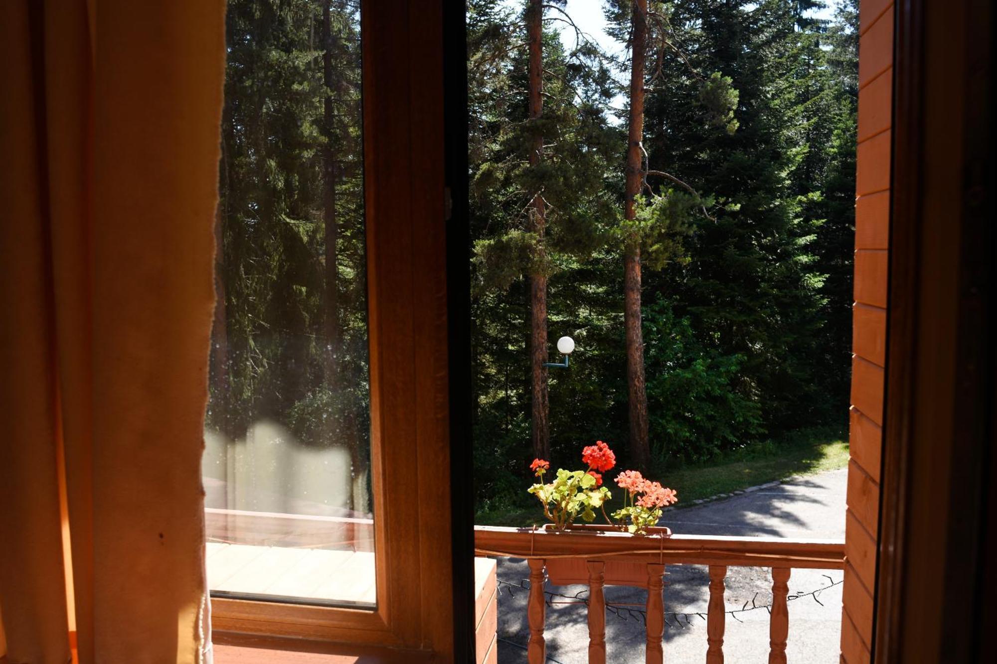 Ski Hotel Katerina Bansko Zewnętrze zdjęcie